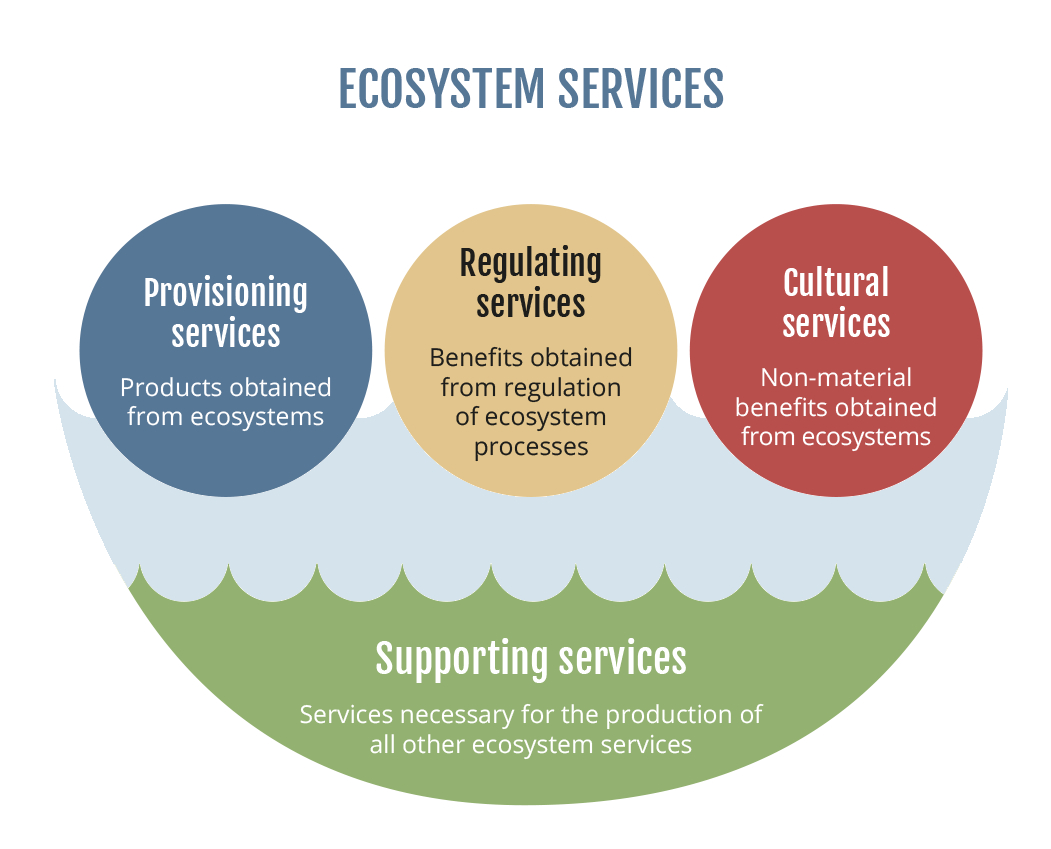 research funding ecosystem services